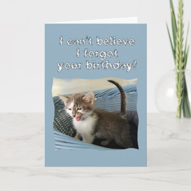 Crazy Kitten Belated Birthday Card (Front)