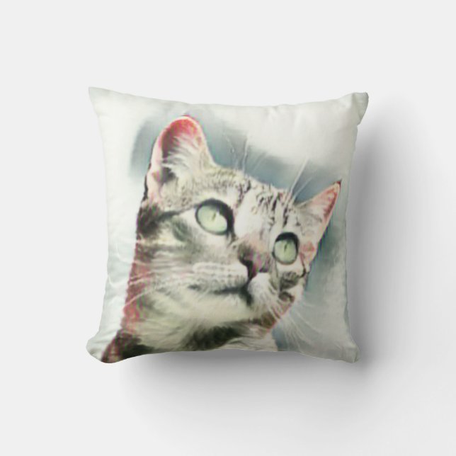 Crazy Kitty Cushion (Front)