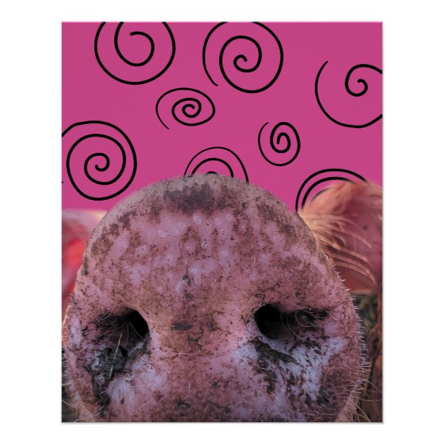 Crazy Pig Poster (Front)