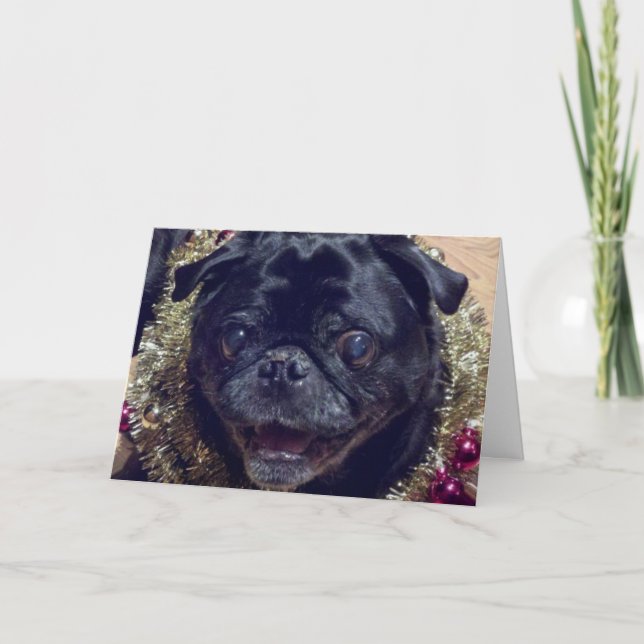 Crazy Pug Christmas Card (Front)