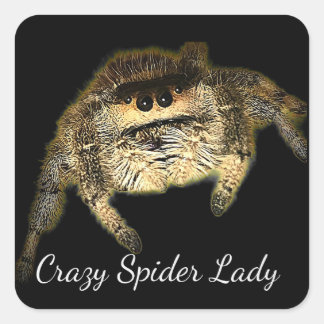 Crazy Spider Lady Square Sticker