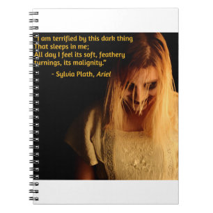 crazy woman notebook