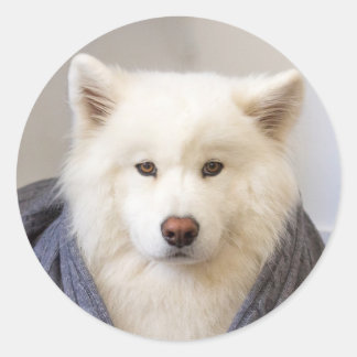 CRB - Cosy Bear Classic Round Sticker