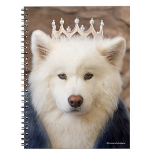 CRB Queen Notebook