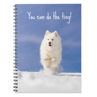 CRB Snow Bear Notebook