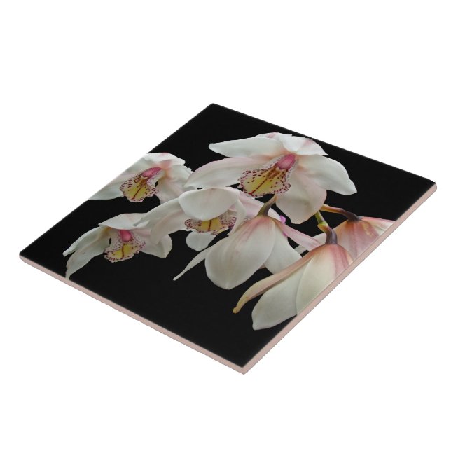 Cream and Pink Orchids on Black Tile (Side)
