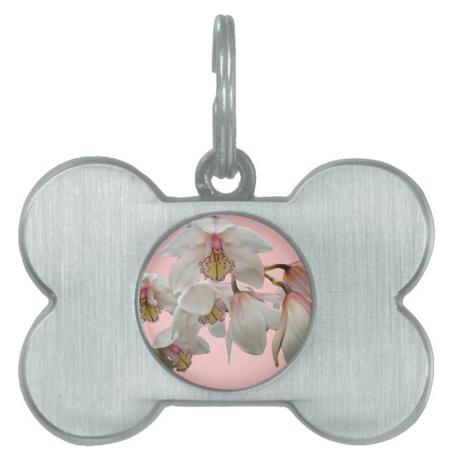 Cream and Pink Orchids Pet Tag (Front)