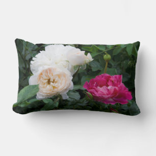 Cream and Pink Streaked Roses Lumbar Pillow