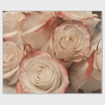 Cream and Red Tipped Roses Matte Wrapping Paper