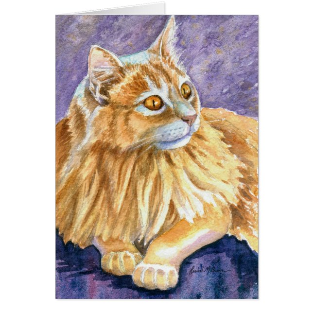 Cream Angora Cat (Front)