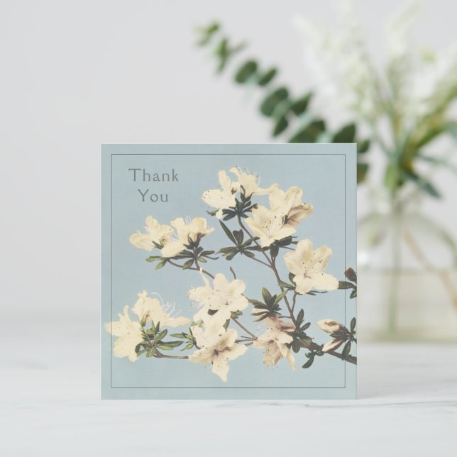 Cream Azalea Flowers Thank You Card (Standing Front)
