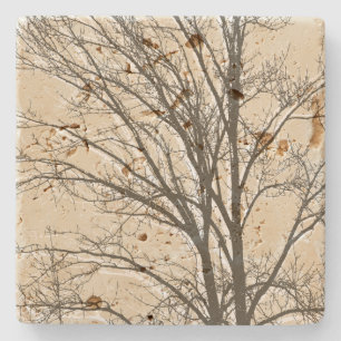 Cream Beige Brown White Tree Branches  Stone Coaster
