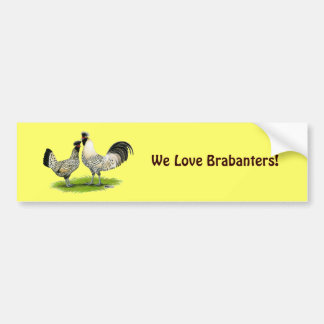 Cream Brabanter Chickens Bumper Sticker
