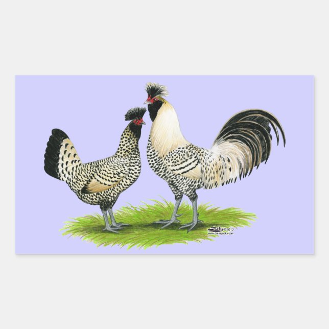 Cream Brabanter Chickens Rectangular Sticker (Front)
