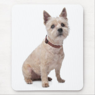 Cream Cairn Terrier Puppy Dog Love Mousepad