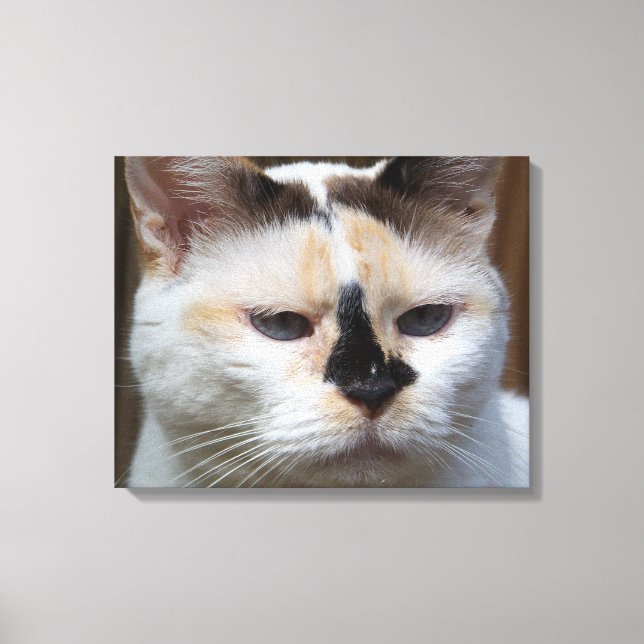 Cream Calico 20"x16" canvas print (Front)