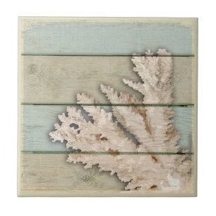Cream Coloured Coral Tile