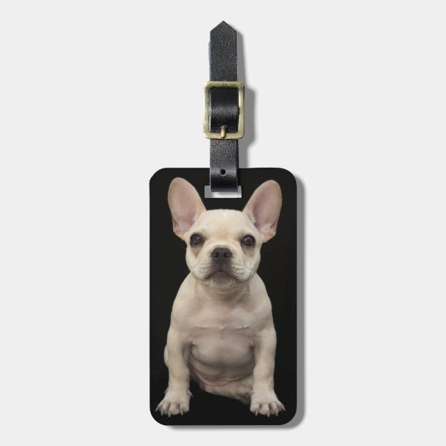Cream coloured French Bulldog puppy Luggage Tag (Front Vertical)