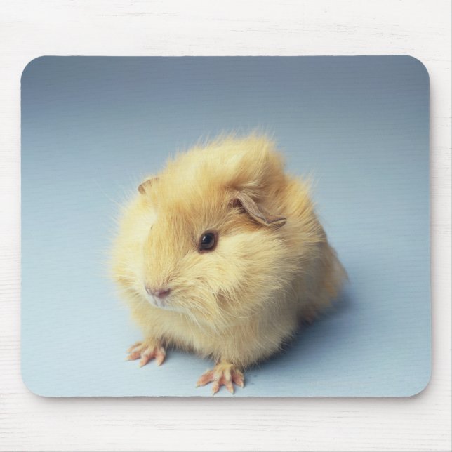 Cream coloured Guinea pig Mouse Pad (Front)