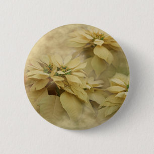 Cream Coloured Poinsettias Digital Art 6 Cm Round Badge