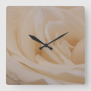 Cream Coloured Rose Closeup Square Wall Clock