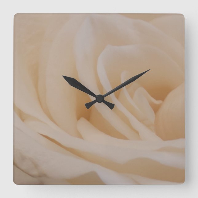 Cream Coloured Rose Closeup Square Wall Clock (Front)