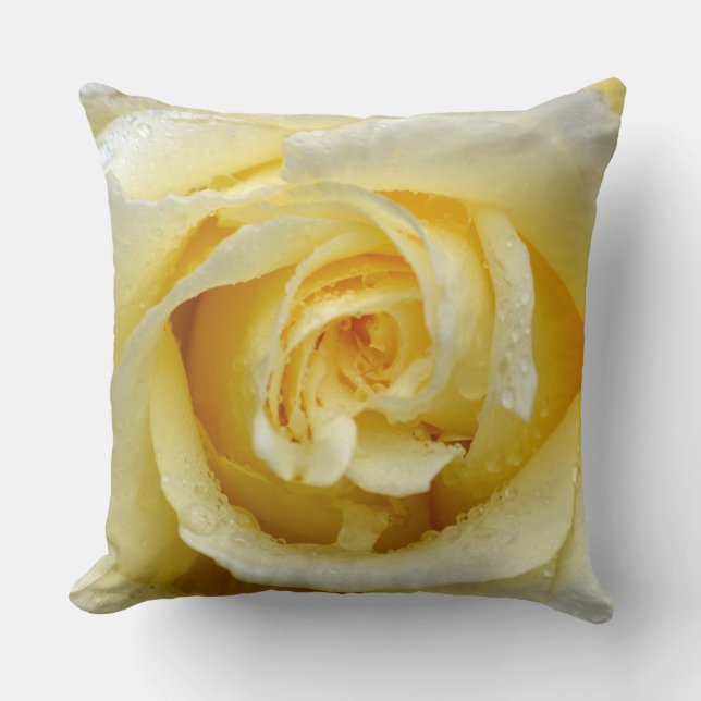 Cream coloured rose cushion (Front)