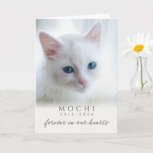 Cream Custom Photo Name Years Pet Loss Memorial Card
