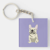 Cream French Bulldog,