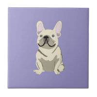 Cream French Bulldog,