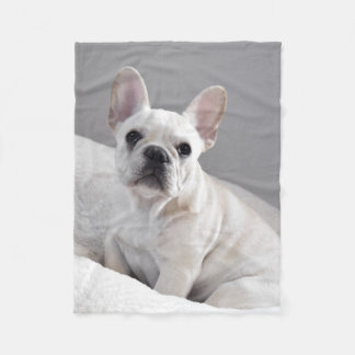 Cream Frenchie Blanket
