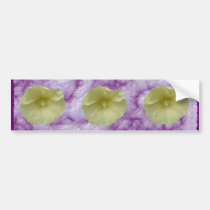 Cream Hollyhock Bumper Sticker