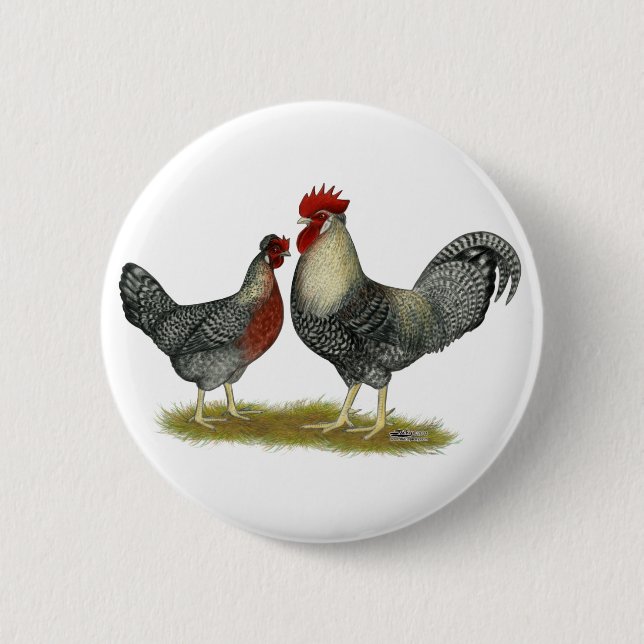 Cream Legbar Chickens 6 Cm Round Badge (Front)