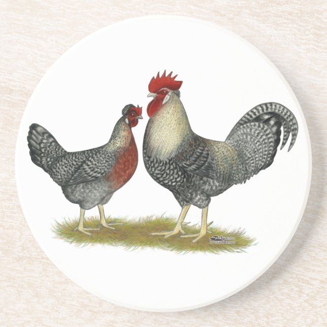 Cream Legbar Chickens Coaster (Front)
