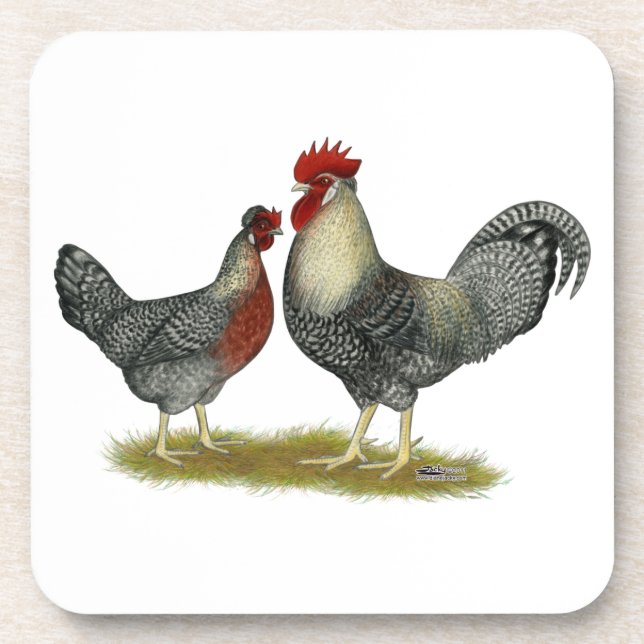 Cream, Legbar Chickens Coaster (Front)