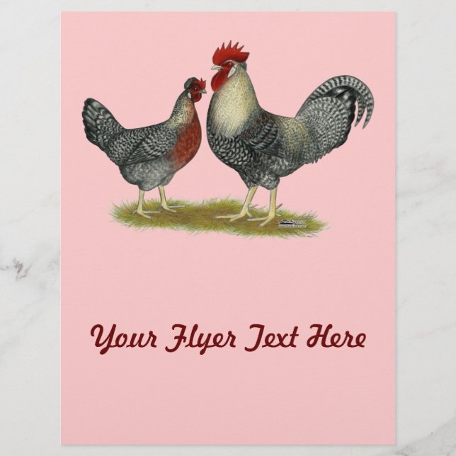Cream Legbar Chickens Flyer (Front)
