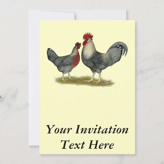 Cream Legbar Chickens Invitation (Front)