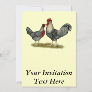 Cream Legbar Chickens Invitation