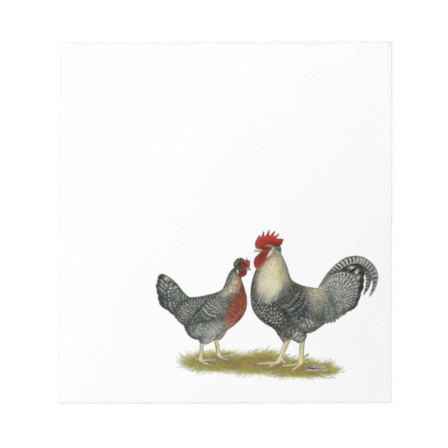 Cream Legbar Chickens Notepad (Front)