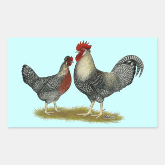 Cream Legbar Chickens Rectangular Sticker