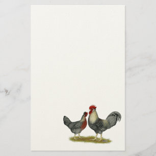 Cream Legbar Chickens Stationery