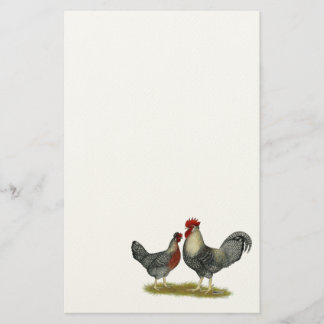 Cream Legbar Chickens Stationery