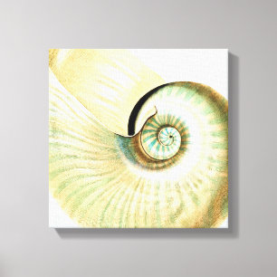 Cream Mint Beach Sea Shell Canvas Print