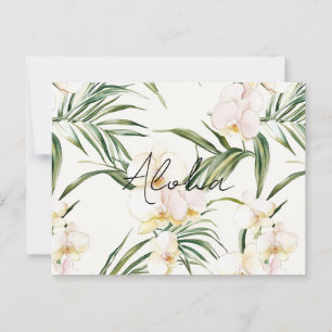 Cream Orchid Flowers Aloha Postcard