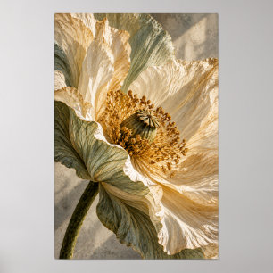 Cream Poppy Blossom Botanical Wall Art