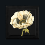 Cream Poppy Flower on Black Background Gift Box<br><div class="desc">This cream poppy flower piece by Jennifer Goldberger looks like it is blooming right before your eyes. The black background sets the flower apart,  letting it hit your vision in all of its glory. A fun piece that would look great on any wall!</div>