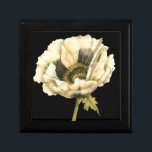 Cream Poppy Flower on Black Background Gift Box<br><div class="desc">This cream poppy flower piece by Jennifer Goldberger looks like it is blooming right before your eyes. The black background sets the flower apart,  letting it hit your vision in all of its glory. A fun piece that would look great on any wall!</div>