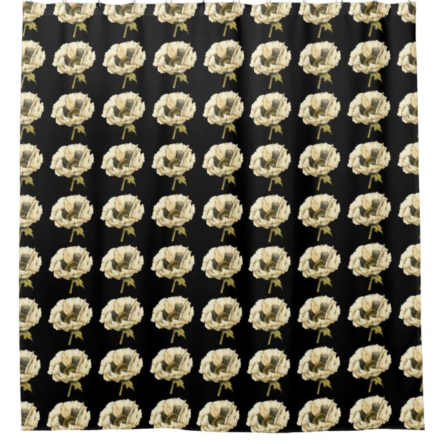 Cream Poppy Flower on Black Background Shower Curtain (Front)