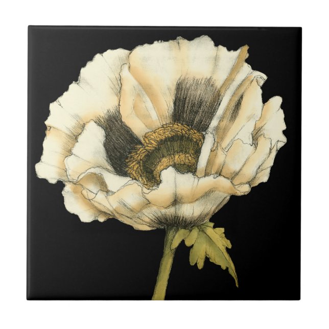 Cream Poppy Flower on Black Background Tile (Front)