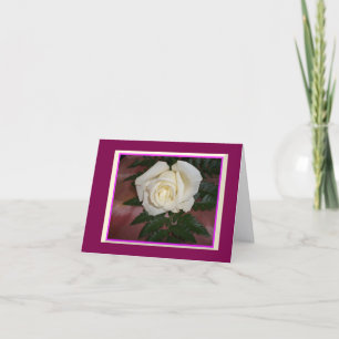 Cream Rose Note Cards